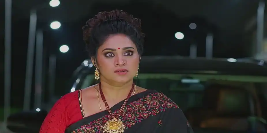 Meghasandesam - August 25, 2024 - Best Scene