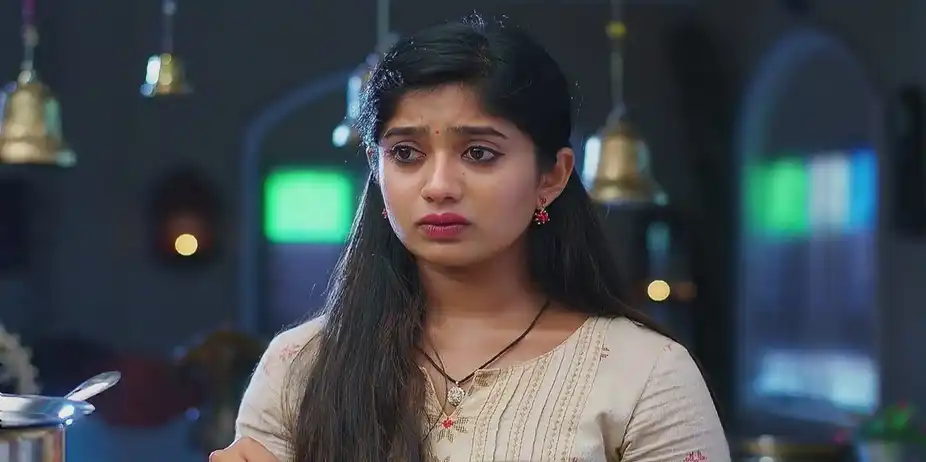 Raghuram Discusses Aadhya and Aditya's Wedding | Padamati Sandhyaragam
