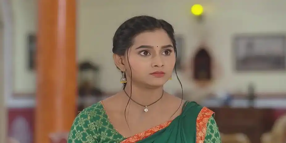 Prashant's Mother's Actions Surprise Raghuraj | Sandhya Ragini