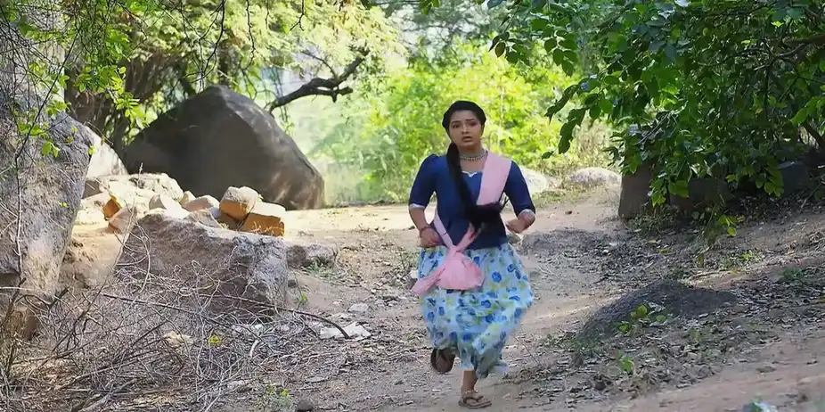 Kalyani - 04 September, 2024