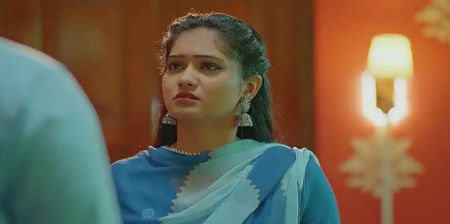 Meenakshi Tries to Dissuade Karthik | Valsalyam