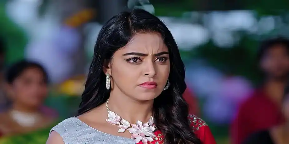 Janaki Ramayya Gari Manavaralu - September 10, 2024 - Episode Spoiler