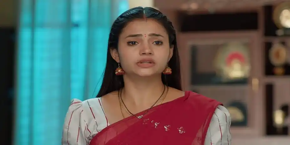 Maa Annayya - September 14, 2024 - Episode Spoiler