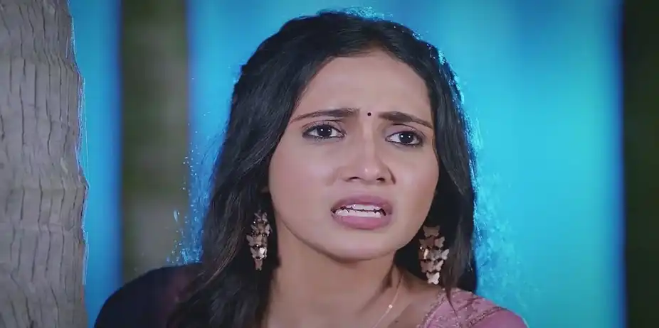 Vijaya Plots to Kill Veerendranath | Shravani Subramanya