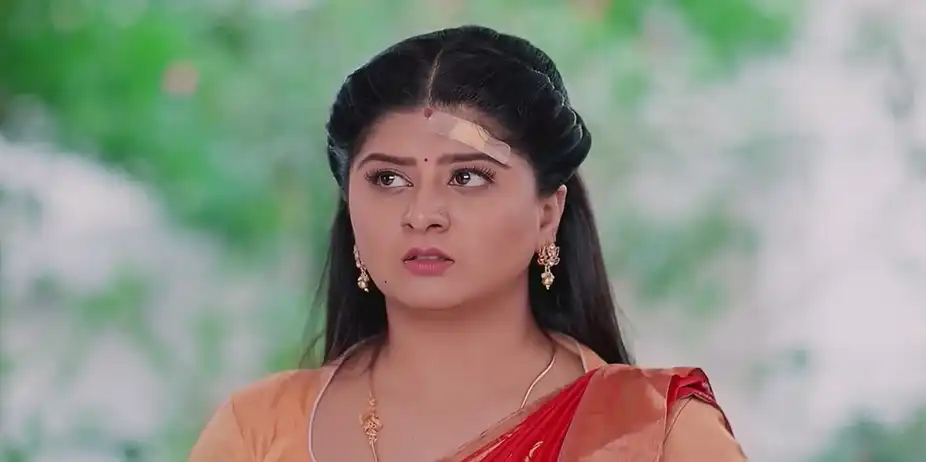 Vaidehi Parinaya - September 12, 2024 - Best Scene