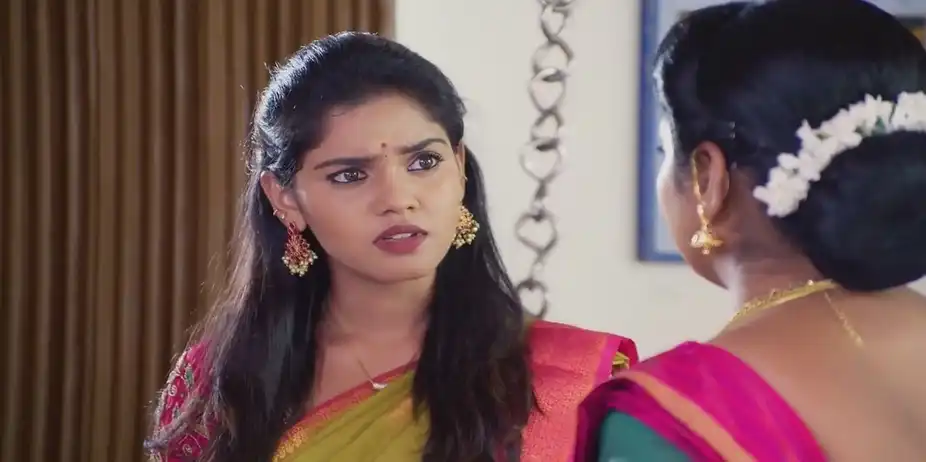 Charulatha Hatches a Plan | Sandhya Raagam