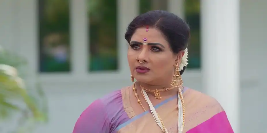 Vedhanayagi Scolds Velan | Valliyin Velan