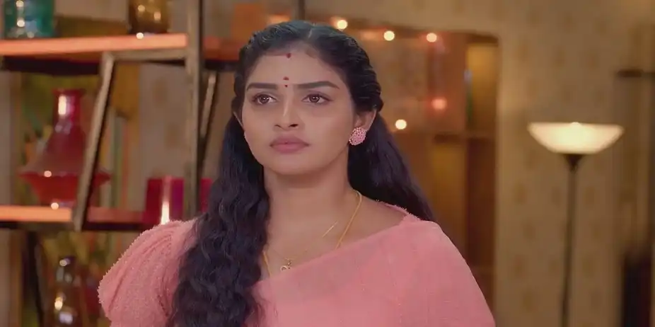 Geeta Faces a Dilemma | Karthigai Deepam