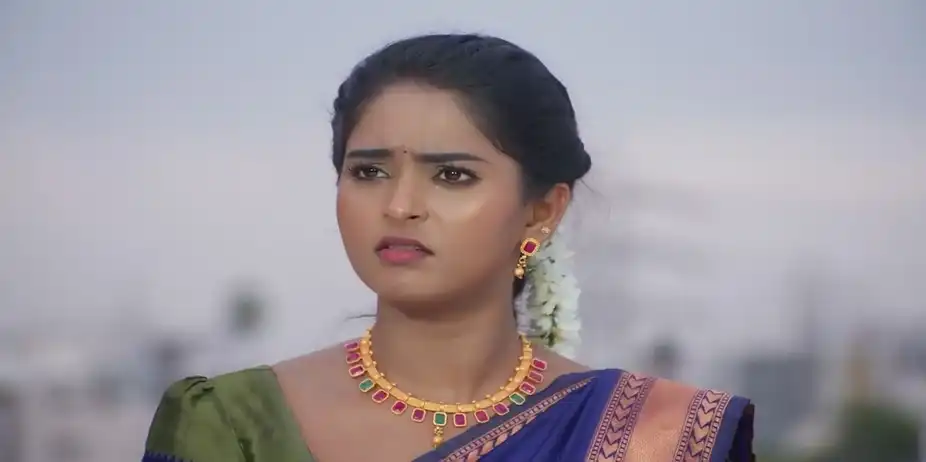 Seenu Pacifies Maya | Sandhya Raagam
