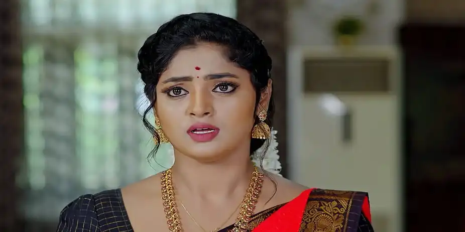 Janaki Ramayya Gari Manavaralu - September 17, 2024 - Episode Spoiler