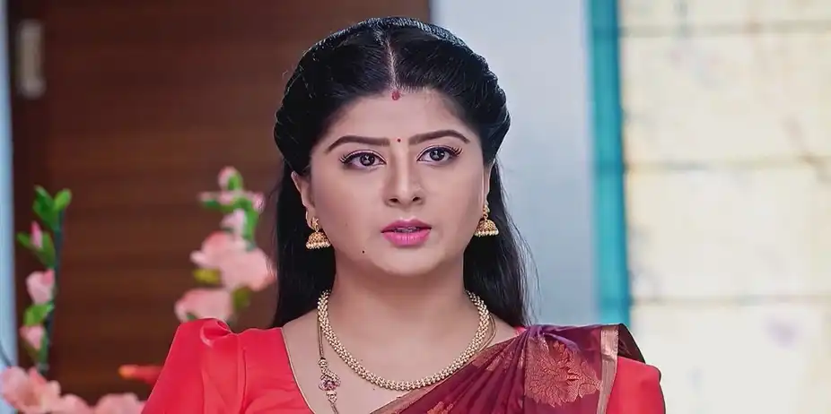 Vaidehi Parinaya - September 16, 2024 - Best Scene