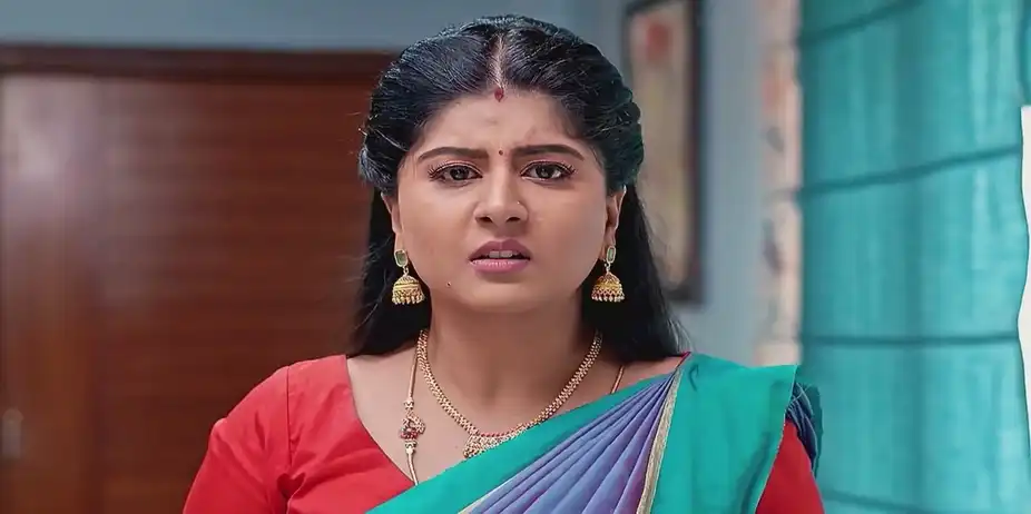 Vaidehi Parinaya - September 20, 2024 - Best Scene