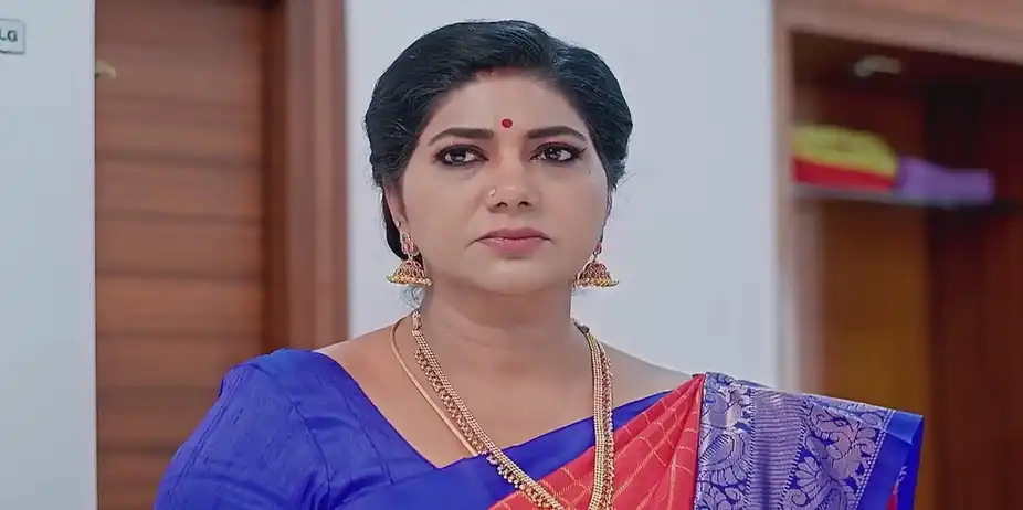 Vaidehi Parinaya - September 19, 2024 - Best Scene
