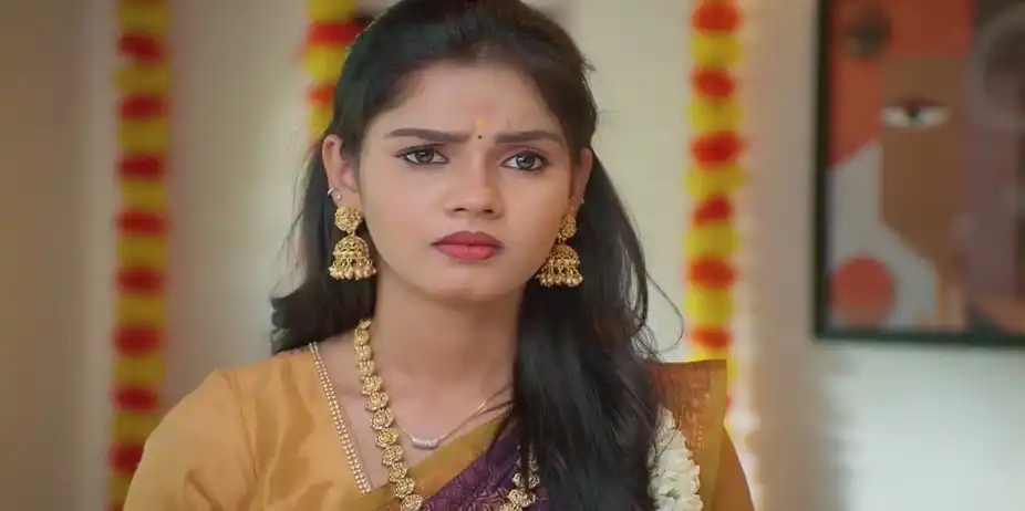 Charulatha Gets Jealous | Sandhya Raagam