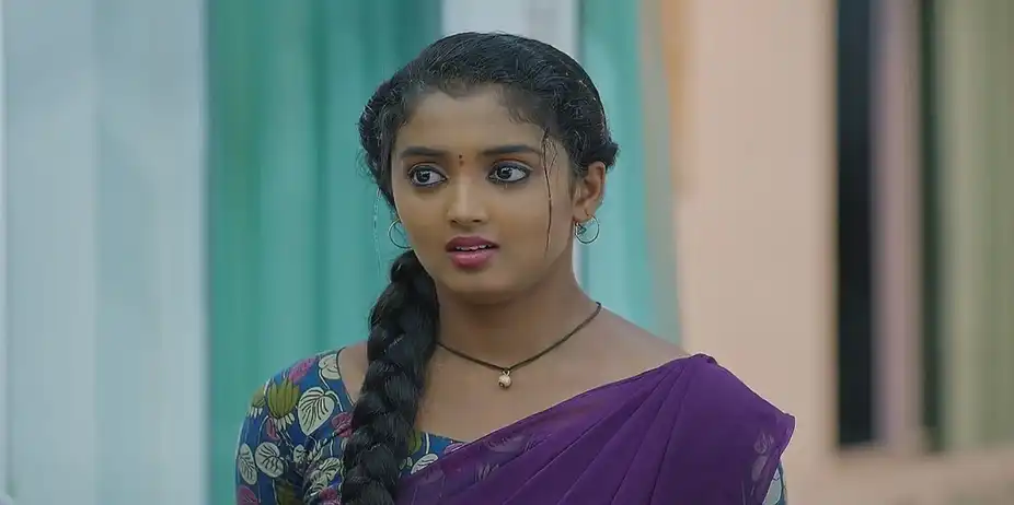 Meghasandesam - October 10, 2024 - Best Scene