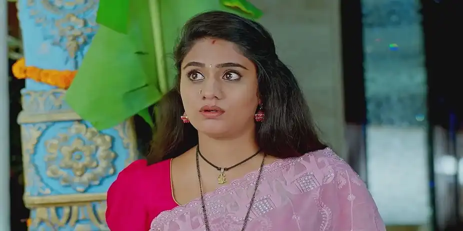 Jagadhatri - October 07, 2024 - Best Scene