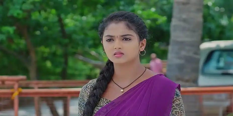 Meghasandesam - October 14, 2024 - Best Scene