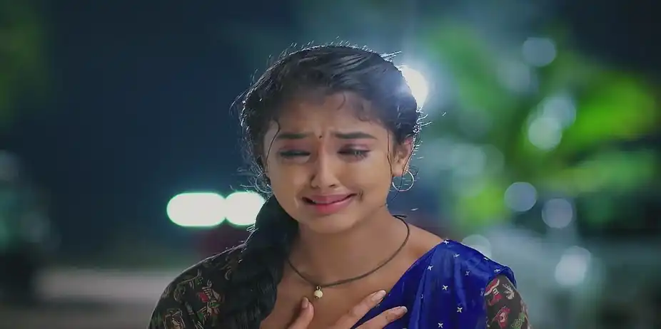 Meghasandesam - October 23, 2024 - Best Scene