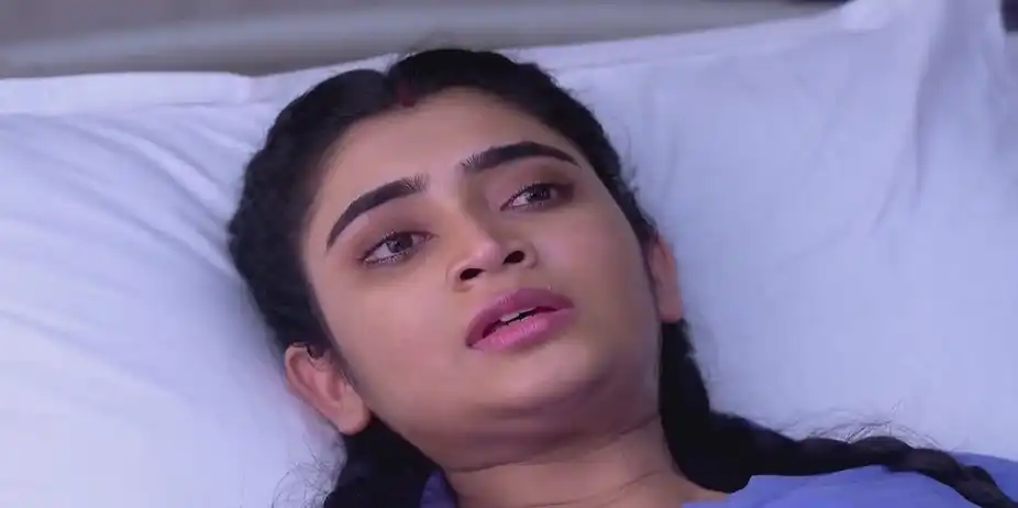 Jagadhatri - October 21, 2024 - Best Scene
