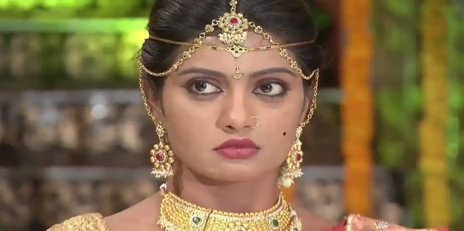 Dhananjaya Confronts Punya over Her Actions | Naagamandala