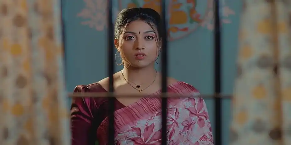 Rajalakshmi's Gift to Meenakshi | Valsalyam