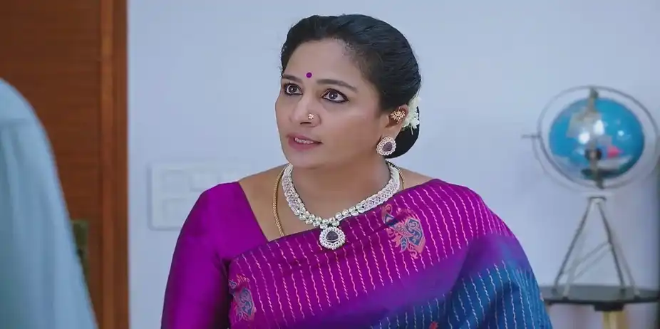 Vijaya Feels Frustrated about Her Failure | Shravani Subramanya