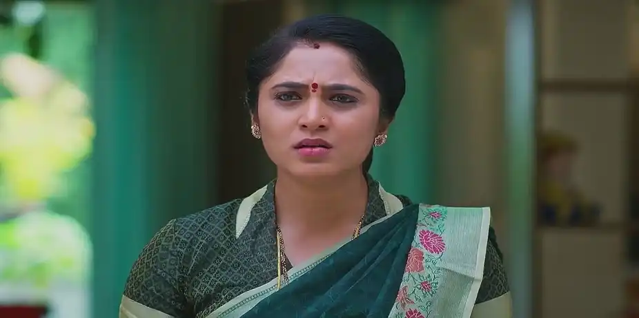 Meghasandesam - November 06, 2024 - Best Scene