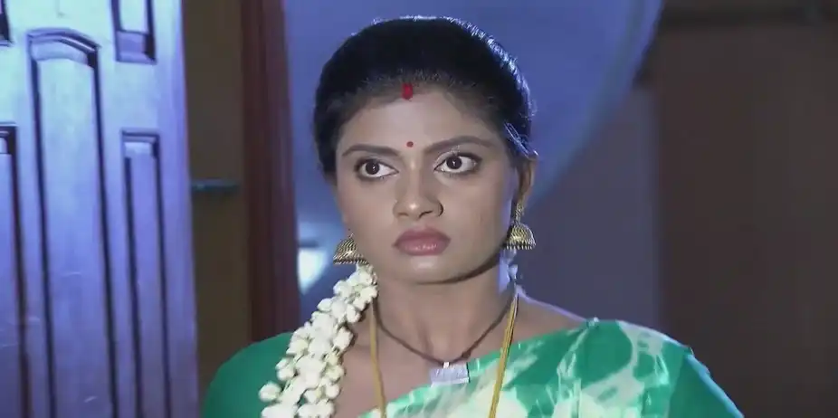 Punya Sees Maya in Anirudha's Arms | Naagamandala