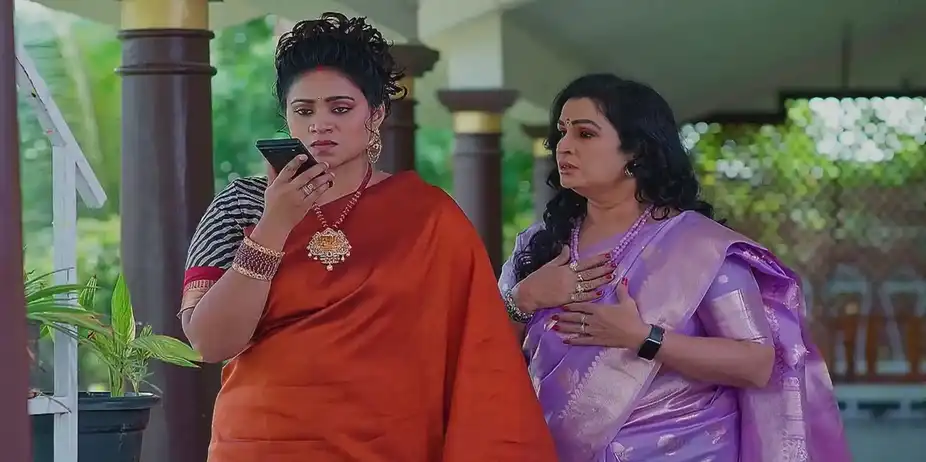 Meghasandesam - November 12, 2024 - Best Scene