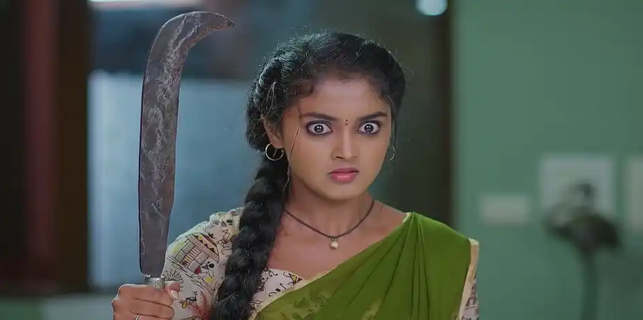 Meghasandesam - November 14, 2024 - Best Scene