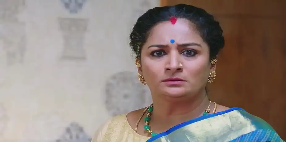 Vijaya Grows Restless with Worry | Shravani Subramanya