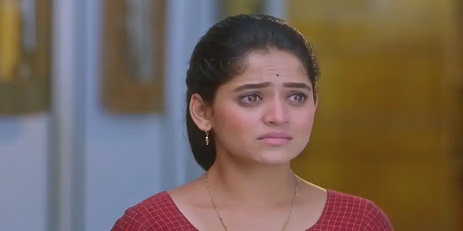 Paaru - November 16, 2024 - Best Scene