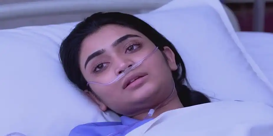 Jagadhatri - November 16, 2024 - Best Scene