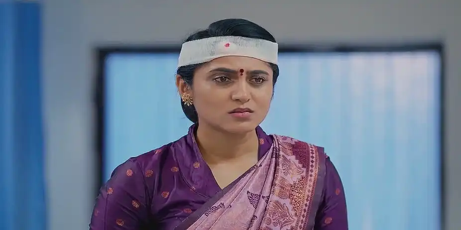 Meghasandesam - November 24, 2024 - Best Scene