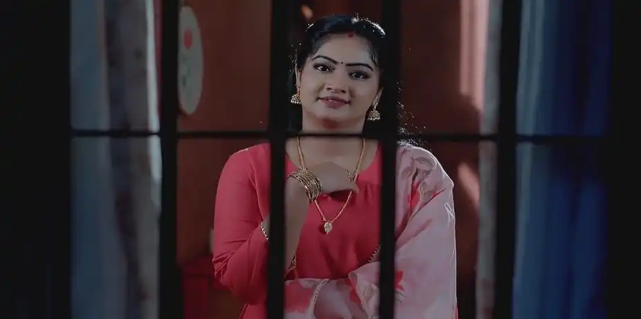 Meenakshi Rejoices Over Karthik’s Words | Valsalyam