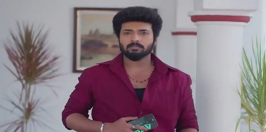 Karthigai Deepam - November 22, 2024 - Best Scene