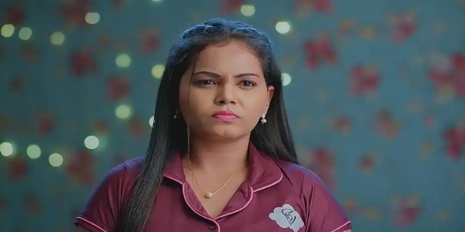 Meghasandesam - November 26, 2024 - Best Scene