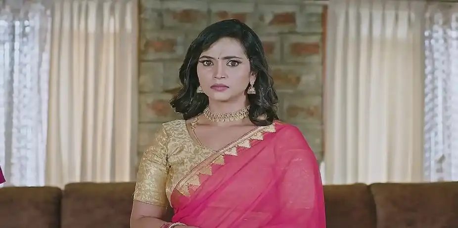 The Swami's Words about Bhavana Irk Neelu | Lakshmi Nivasa