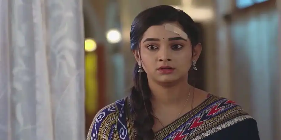 Raghuraj Discusses Prashant's Marriage | Sandhya Ragini