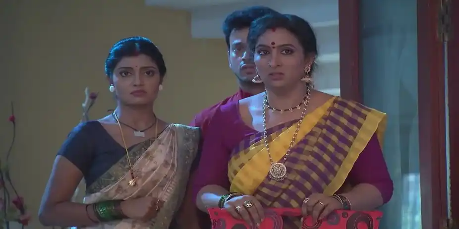 Naagamandala - November 24, 2024 - Best Scene
