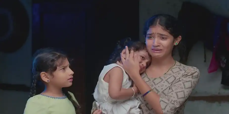 Karthigai Deepam - November 29, 2024 - Best Scene