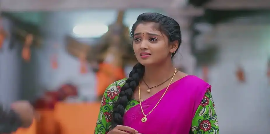 Meghasandesam - December 07, 2024 - Best Scene
