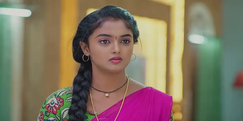 Meghasandesam - December 05, 2024 - Best Scene