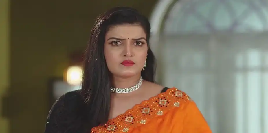 Bhagya's Family Learn about a Thief | Bhagya Rekha