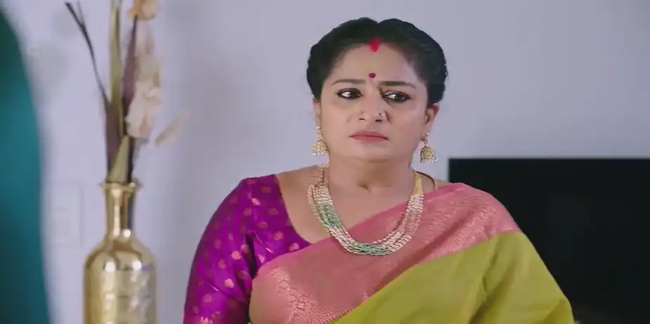 Madan Vents His Anger | Shravani Subramanya