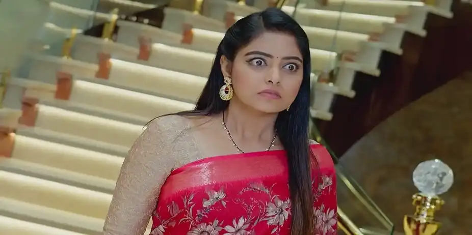 Jagadhatri - December 17, 2024 - Best Scene