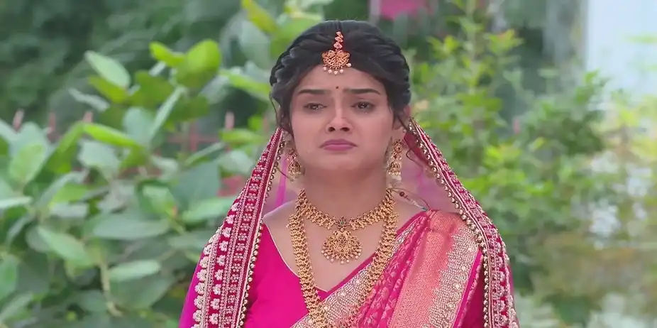 Bhagya Rekha - December 21, 2024 - Best Scene