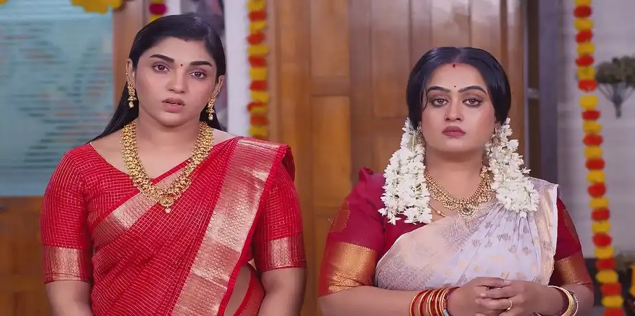 Maari - December 26, 2024 - Best Scene