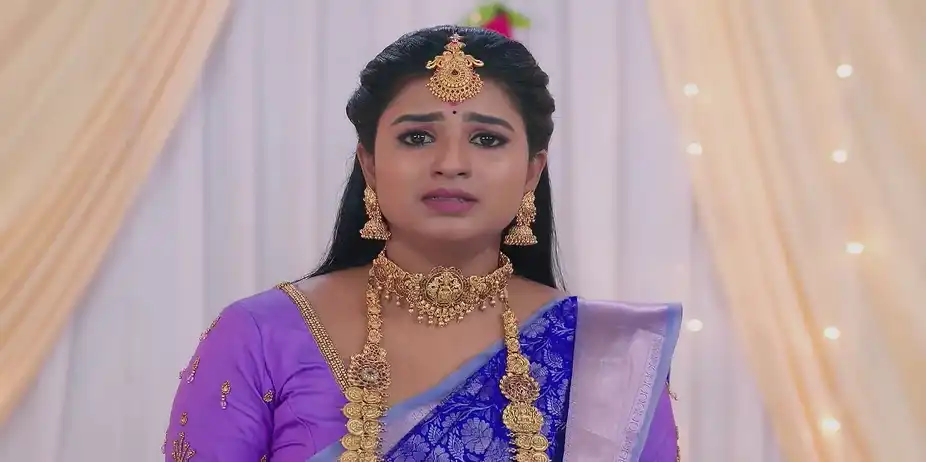 Karthigai Deepam - December 24, 2024 - Best Scene