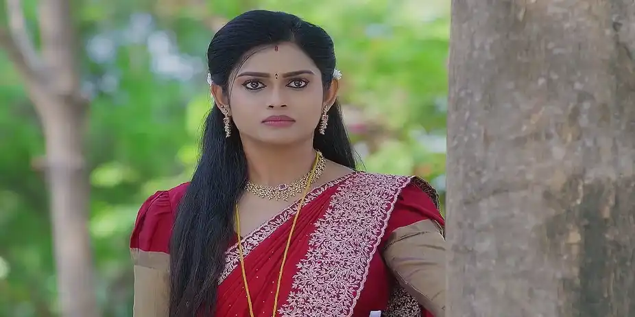 Charulata Spies on Srinivas and Aadhya - Sandhyaraaga
